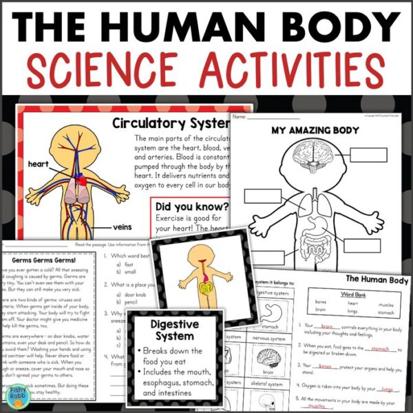 human body activities